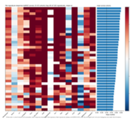 Heatmap of published immunotherapy-response gene signature scores across tumor cohorts.